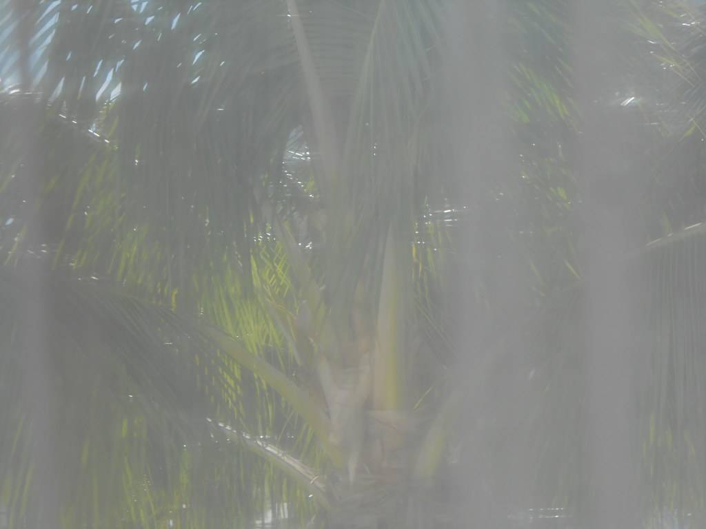 Sheer Curtain Cleaning