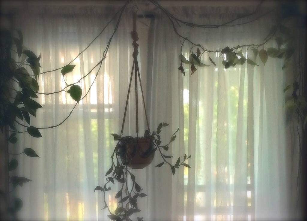 Curtain Deodorising