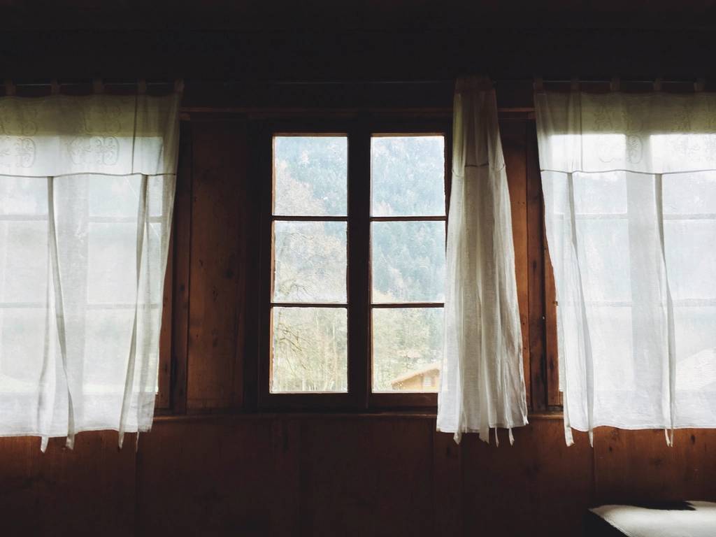Mould & Mildew Treatment