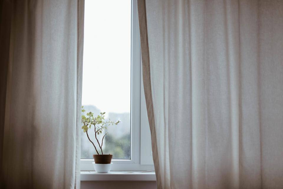 Window Curtains